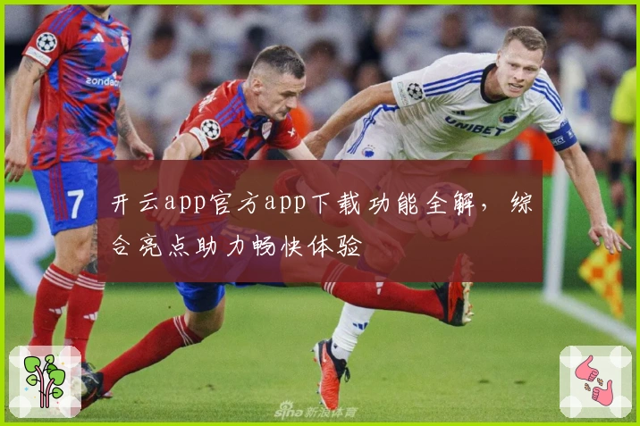 开云app官方app下载功能全解,综合亮点助力畅快体验