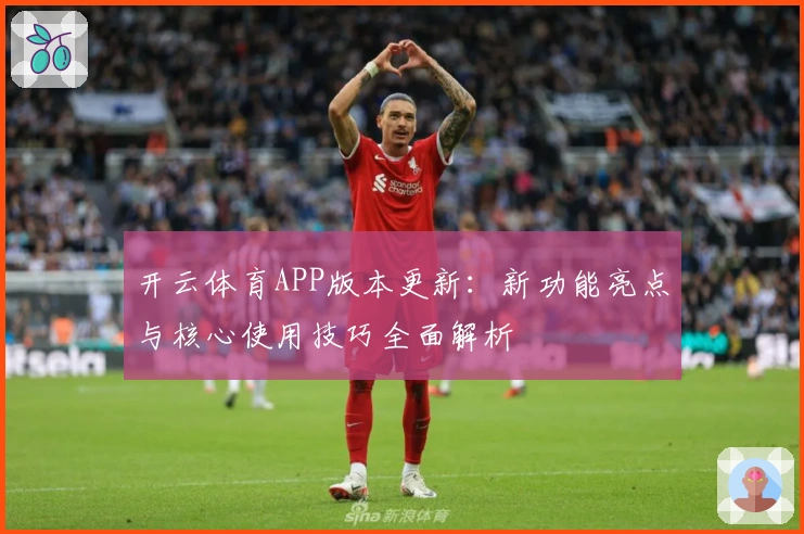 开云体育APP版本更新：新功能亮点与核心使用技巧全面解析